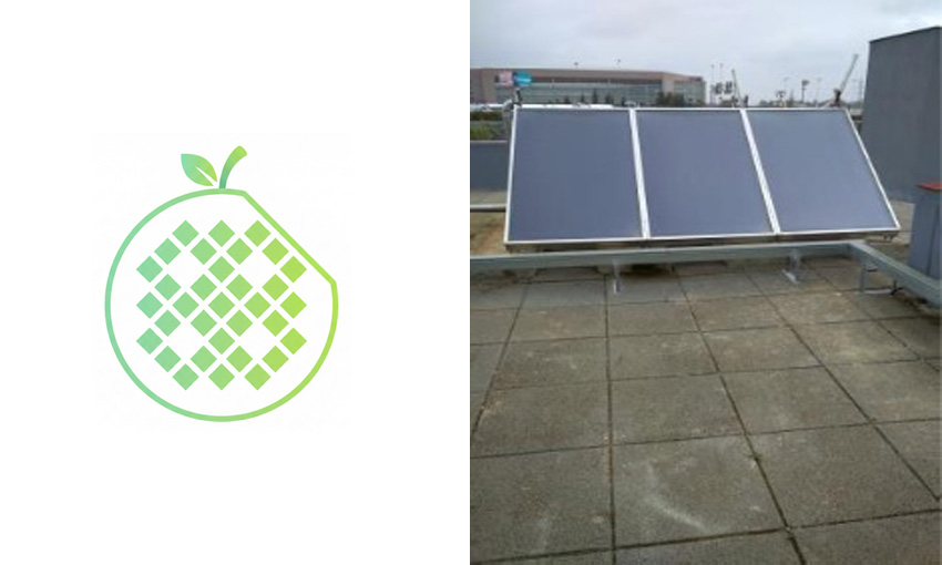 Comite Sostenibilidad IMSE